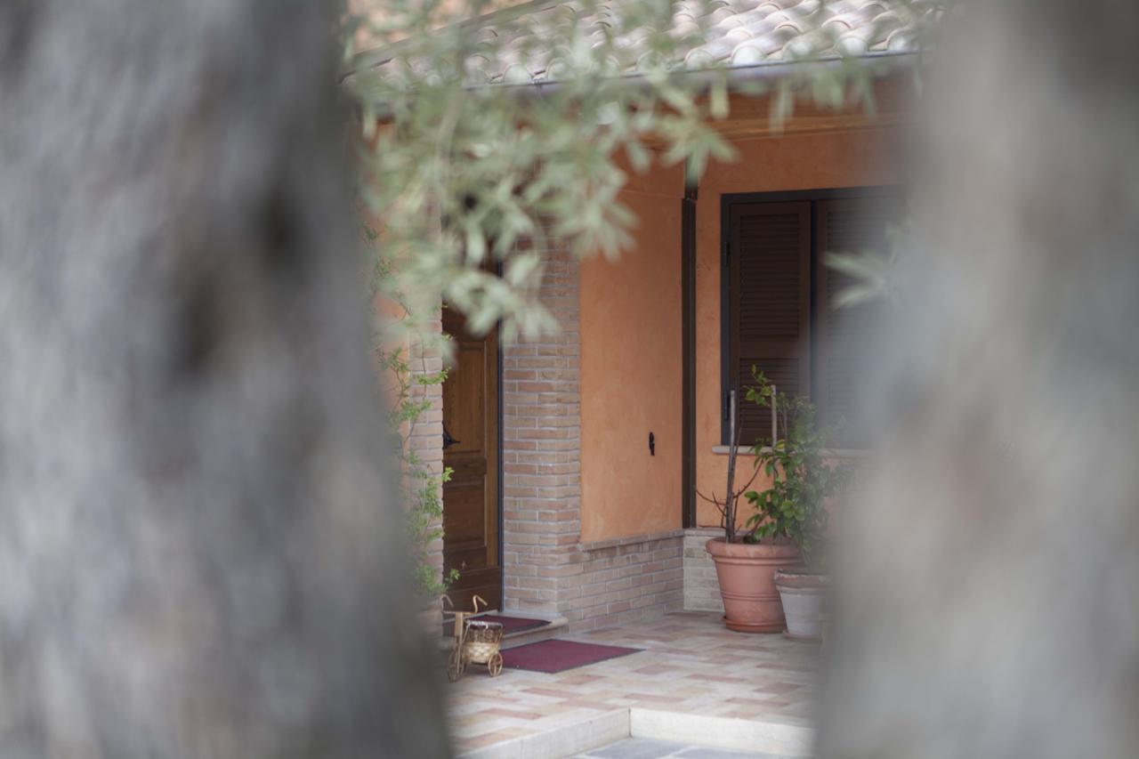 B&B La Gioiosa Асизи Екстериор снимка
