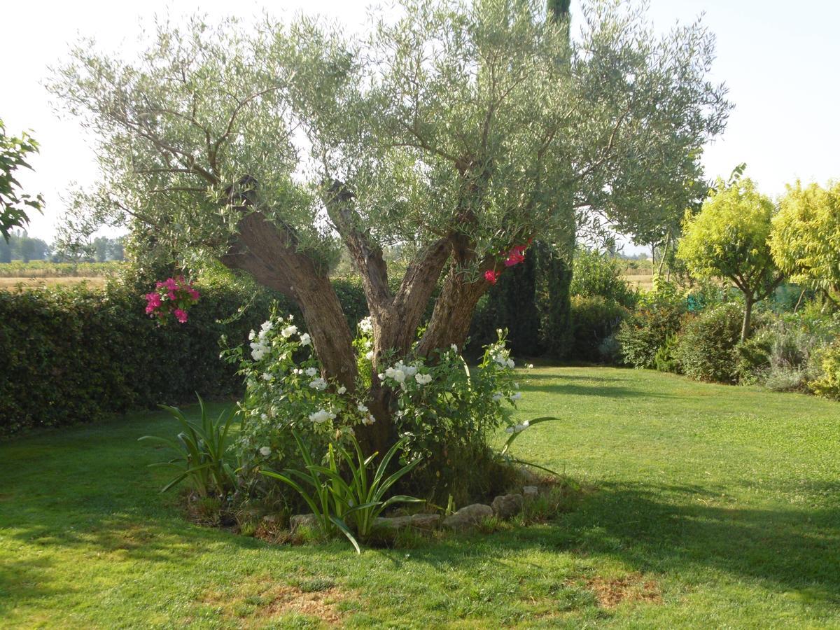 B&B La Gioiosa Асизи Екстериор снимка