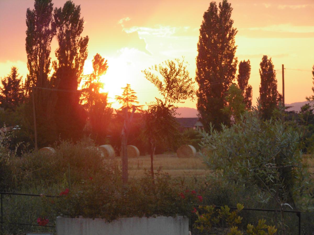 B&B La Gioiosa Асизи Екстериор снимка